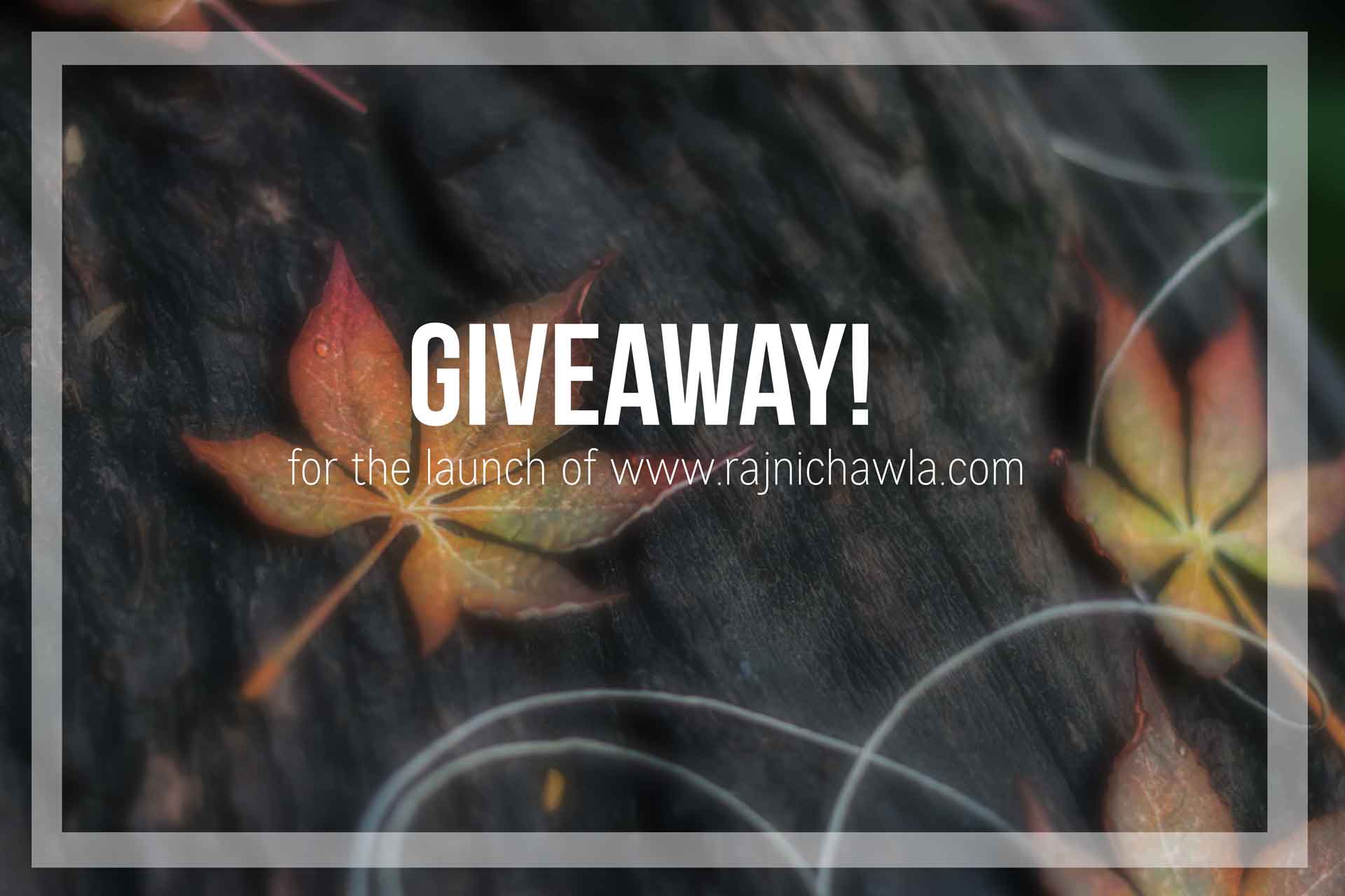 Rajni Chawla giveaway!