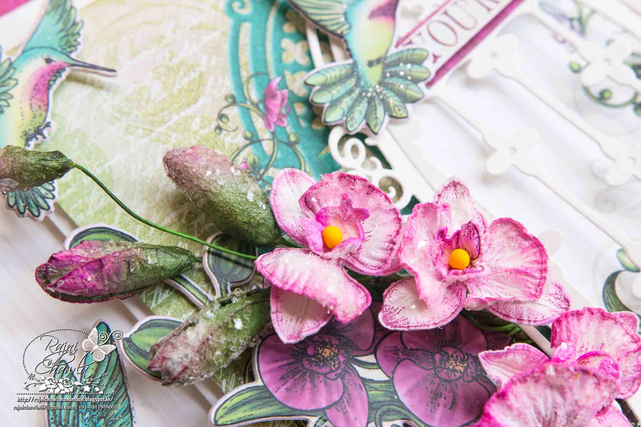 Pink Botanic Orchid Window Card