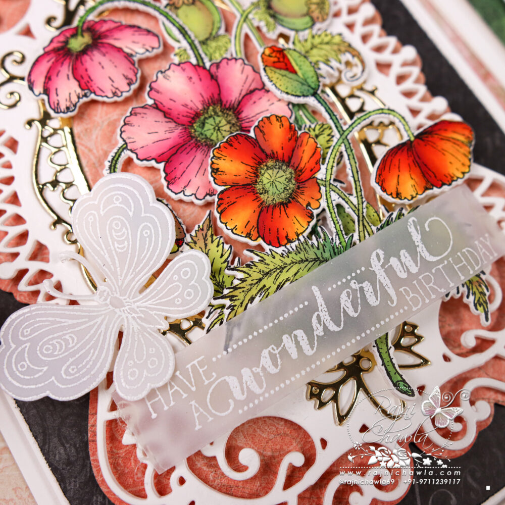 Heartfelt Creations Wild Poppy Collection | Timeless Creations